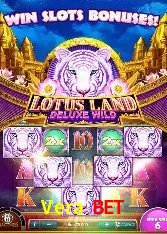 Integração de APIs Vera Bet